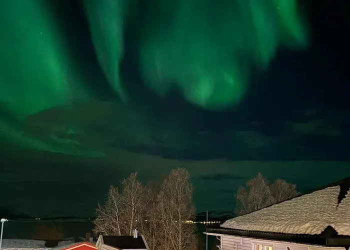 Liten Kjellerleilighet I Rolig Boligfelt *